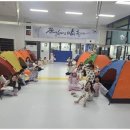 키즈사랑 태권도 이미지