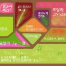 (주)에코플랜츠 네이버블로그