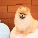 이노티안경전주중앙점 네이버블로그