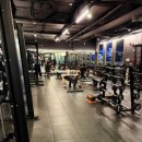 트라이핏 이미지