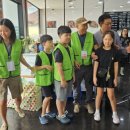 리미트성형외과의원 이미지