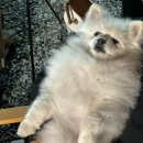 펫츠런파크 이미지