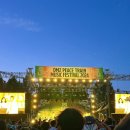 모텔쉬리 | 2024 강원도 철원 DMZ 피스트레인 후기 (DMZ Peace Train Festival 2024)