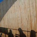 에반스 힐 이미지