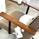 다옴헤어살롱 네이버블로그