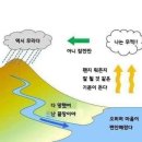 진하꽃게