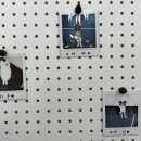 대견하개 이미지