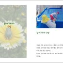 해바라기문고 이미지