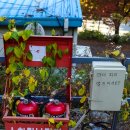 옥샘캠핑장 이미지