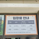 [용인/카페] 베툴라 용인 카페 서울 근교 카페 추천