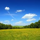 신다문화행정사 이미지