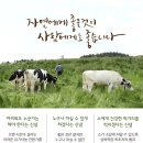 상하푸른목장 네이버블로그