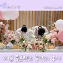 시흥 돌잔치 배곧 플로렌스 & 려밈한복 패키지 4월 돌잔치 솔직후기