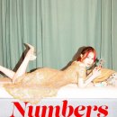 더 넘버스 이미지