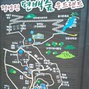 정남진 편백숲 우드랜드 이미지