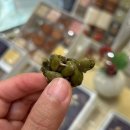 만나당개 | [명절선물 추천] 궁중병과 만나당 신세계백화점 강남점 / 추석 선물 추천