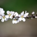 무주 마실 이미지