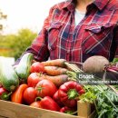 좋은야채 이미지