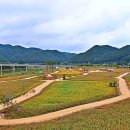 청송 산소카페 청송정원/주왕산 주왕굴 주왕폭포/영덕 강구항 이미지