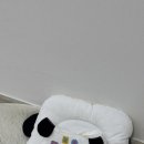 퍼피포피 이미지