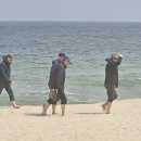 강릉임해자연휴양림 이미지