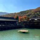 번지없는식당 이미지