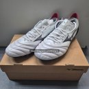 P-1 | 미즈노 모렐리아 네오4 베타 엘리트 ag (P1GA254309) 후기, 사이즈