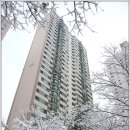 분당-318 이미지