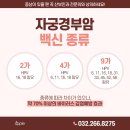 이음산부인과의원 네이버블로그