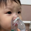 서울새싹병원 이미지