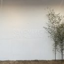 사네마켓 | 사네마켓 사네피크닉다녀온 후기 ! 천안 파티룸 공간대여 추천
