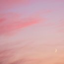 지영약국 | 버팀의 대가