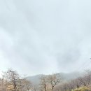 양대박전승지 이미지