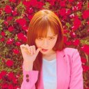 개, 이쁘다 이미지