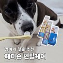 덴탈포커스 | 반려동물칫솔 맞춤형으로 고르는 페디슨 덴탈케어