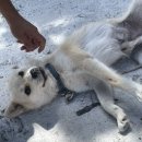 센티마르글램핑 이미지