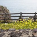 영빈횟집 이미지