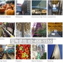 노스포인트주 이미지