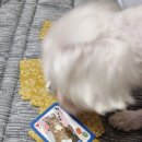 두복 이미지