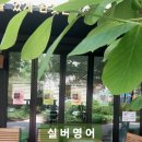 실버기초영어 이미지