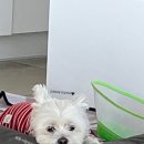 카페엔이오