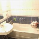 한동화성 이미지