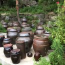 약선오리 이미지