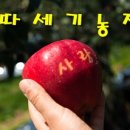 중앙동229 이미지