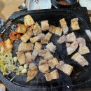 돼지랑돌이랑 이미지