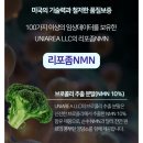 리즈약국 | 리즈바이브 NMN 브로콜리 추출분말 한 달 후기 | 체력·피부 변화 체감한 솔직 리뷰