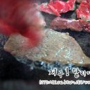 자인식육식당 이미지
