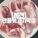 안동뒷고기.막창