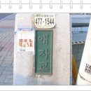 애자교 이미지