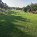 임페리얼CC(대중제) 이미지